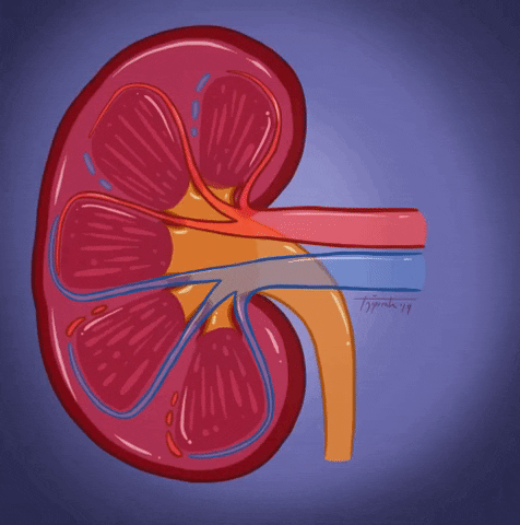 Kidney Stone